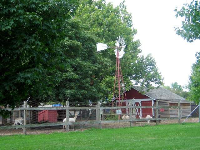IMG_6587.JPG