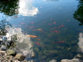 IMG_6605.JPG
