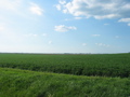IMG_6634.JPG