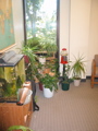 IMG_4689.JPG