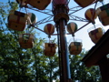 IMG_1497.JPG